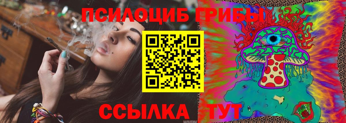 Галлюциногенные грибы GOLDEN TEACHER Тара